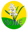 Saint-Orens Nature Environnement